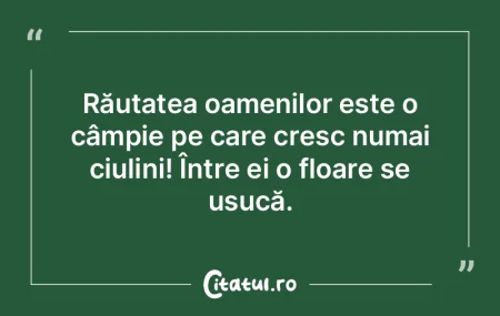 Răutatea oamenilor este o câmpie pe ca...