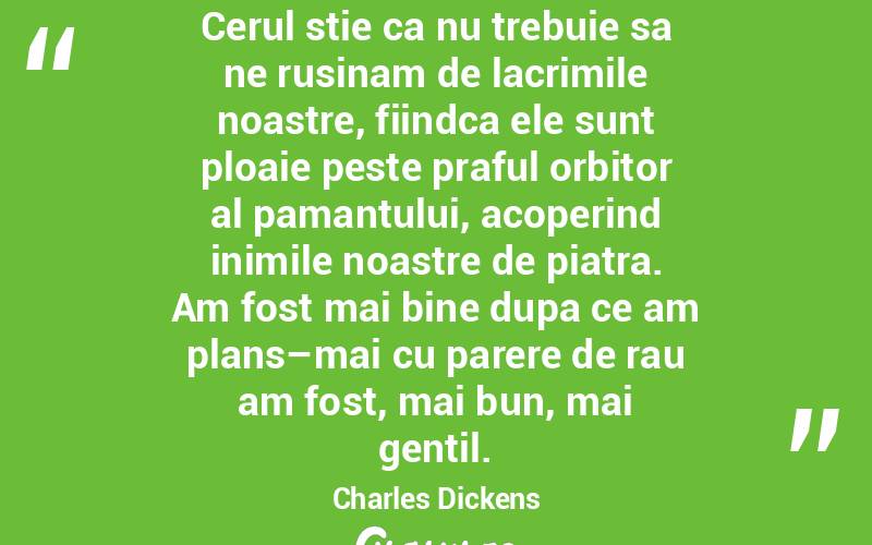Cerul stie ca nu trebuie sa ne rusinam de lacrimile noastre, fiindca ele sunt ploaie peste praful orbitor al pamantului, acoperind inimile noastre de piatra. Am fost mai bine dupa ce am plans–mai cu parere de rau am fost, mai bun, mai gentil. Charles Dickens