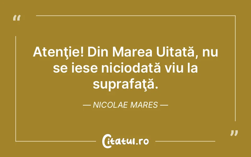 Citat Nicolae Mares - citate triste