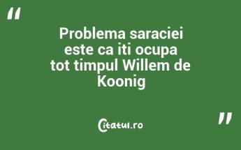 Problema saraciei este ca iti ocupa tot timpul Willem de Koonig...