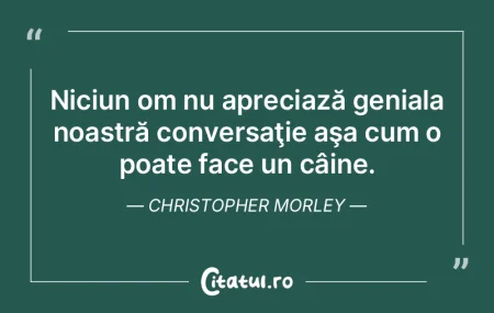 Niciun om nu apreciază geniala noastră... Niciun om nu apreciază geniala noastră...