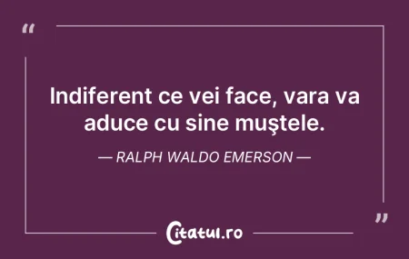 Indiferent ce vei face, vara va aduce cu...