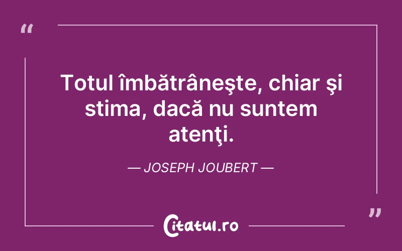 Citat Joseph Joubert - citate triste