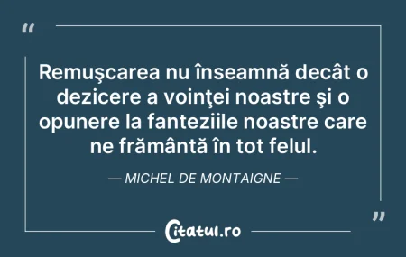 Remuşcarea nu înseamnă decât o dezic...