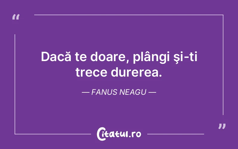 Citat Fanus Neagu - citate triste