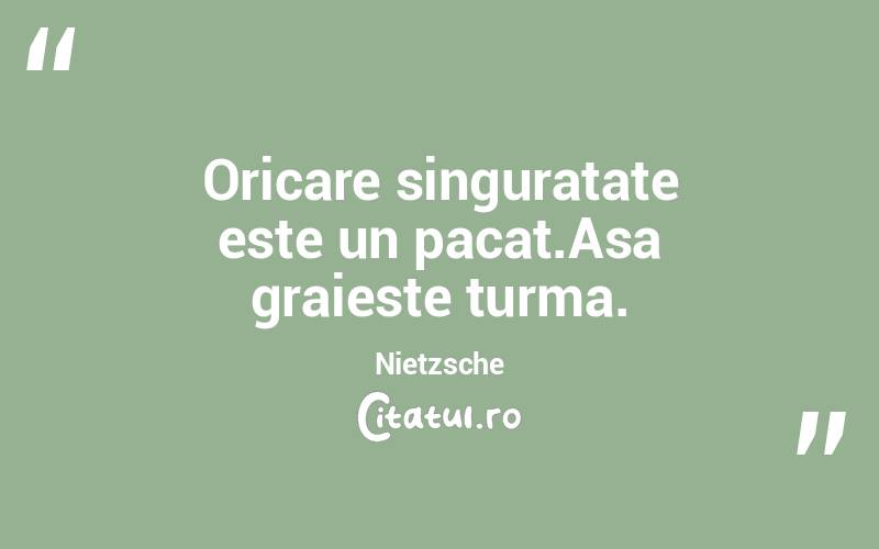 Oricare singuratate este un pacat.Asa graieste turma. Nietzsche