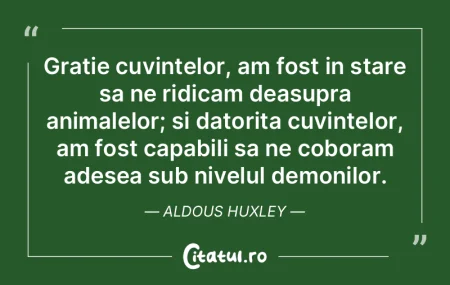 Gratie cuvintelor, am fost in stare sa n... Gratie cuvintelor, am fost in stare sa n...