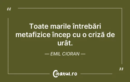 Toate marile întrebări metafizice înc...
