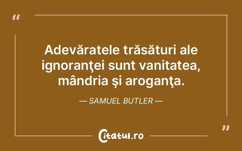 Citat Samuel Butler - citate triste