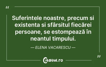 Suferințele noastre, precum și existen...