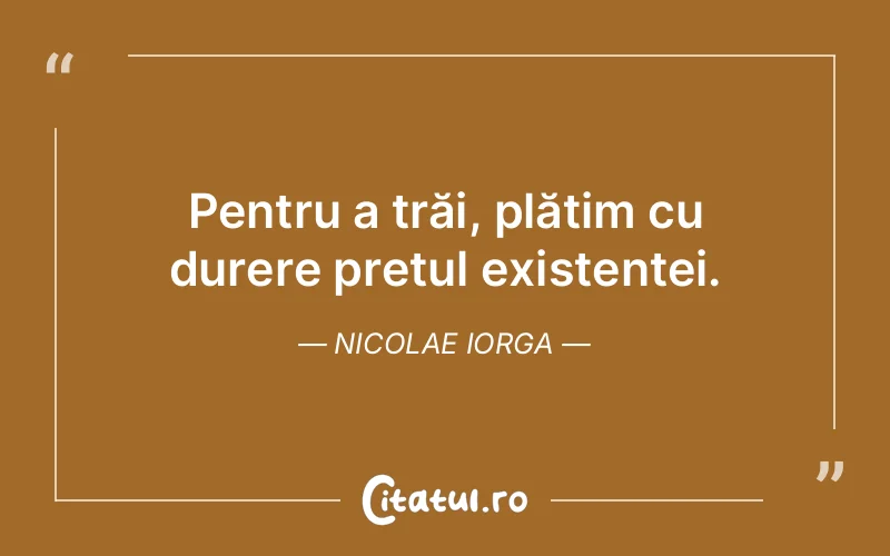 Citat Nicolae Iorga - citate triste