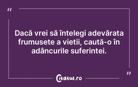Dacă vrei să înțelegi adevărata fru...