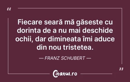 Fiecare seară mă găsește cu dorința...