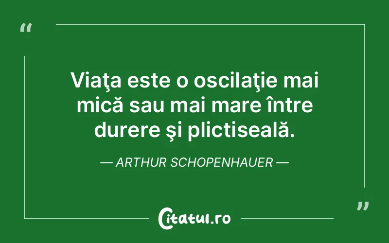 Citat Arthur Schopenhauer - citate triste