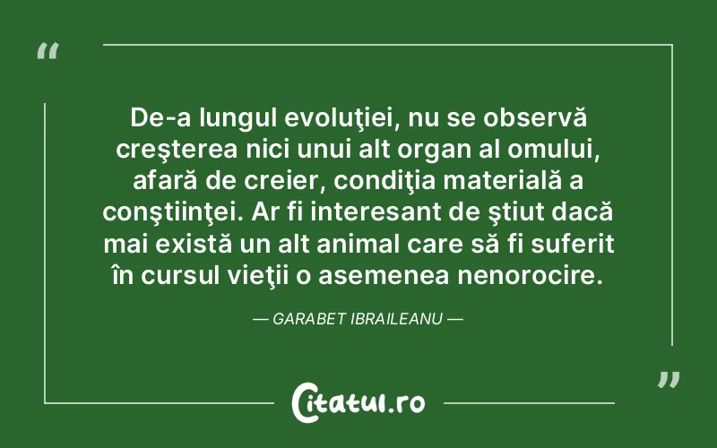 Citat Autor necunoscut - citate triste