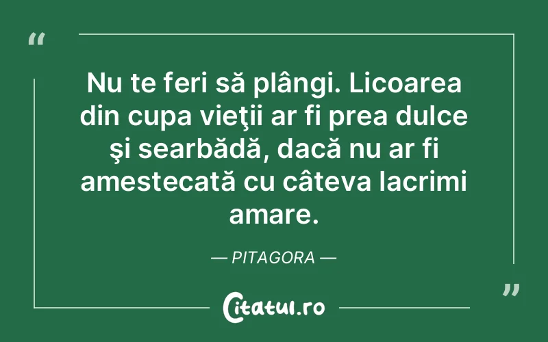 Citat Pitagora - citate triste