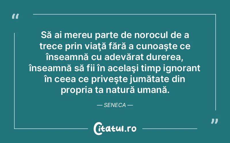 Citat Autor necunoscut - citate triste