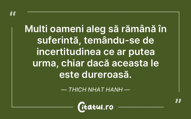 Citat Thich Nhat Hanh - citate triste
