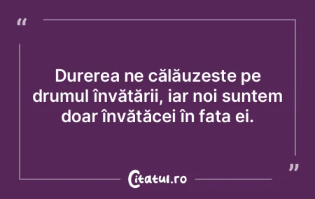 Durerea ne călăuzeÈ™te pe drumul învÄ... Durerea ne călăuzeÈ™te pe drumul învÄ...