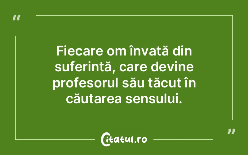Fiecare om învață din suferință, care devine profesorul său tăcut în căutarea sensului.