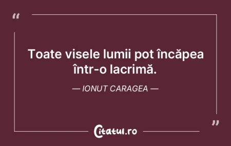 Toate visele lumii pot încăpea într-o... Toate visele lumii pot încăpea într-o...