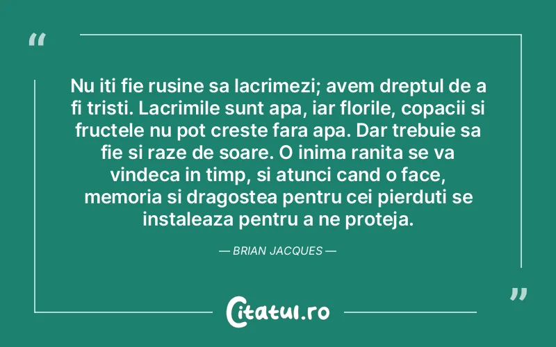 Citat Autor necunoscut - citate triste