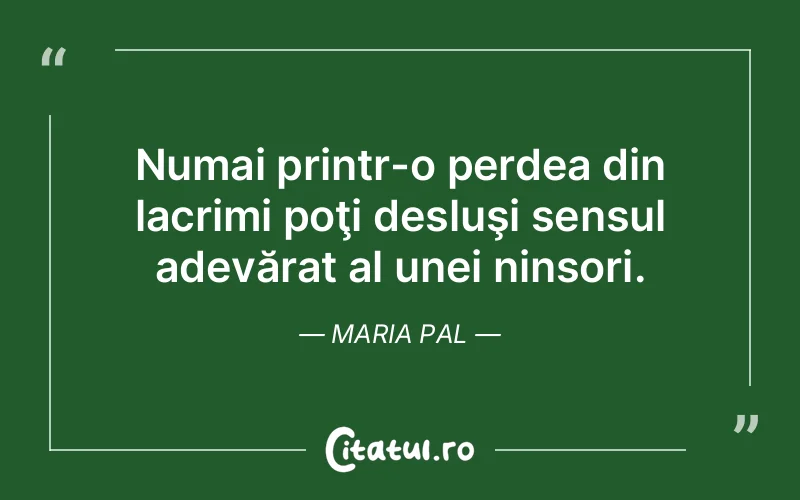 Numai printr-o perdea din lacrimi poţi desluşi sensul adevărat al unei ninsori. Maria Pal