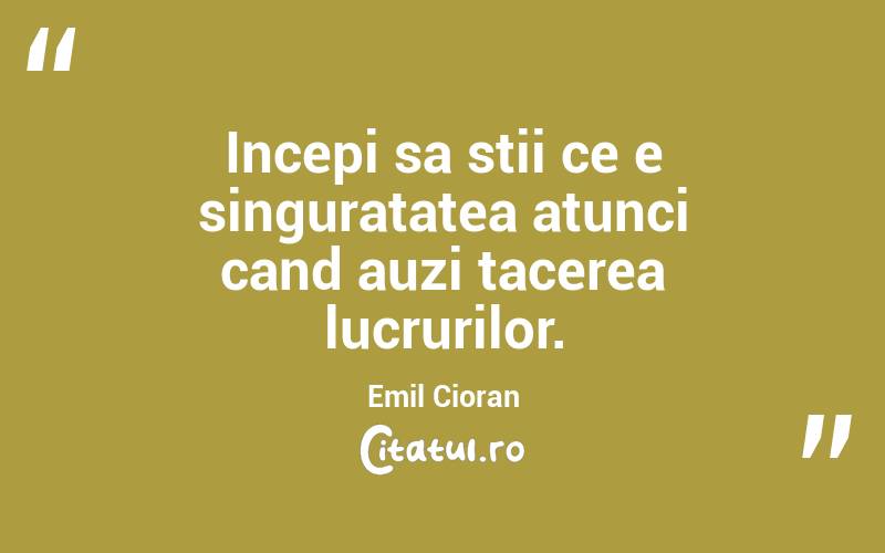 Incepi sa stii ce e singuratatea atunci cand auzi tacerea lucrurilor. Emil Cioran
