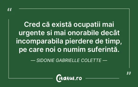 Cred că există ocupații mai urgențe ...