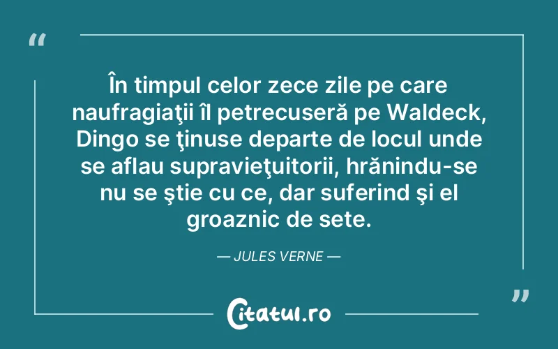 Citat Autor necunoscut - citate triste