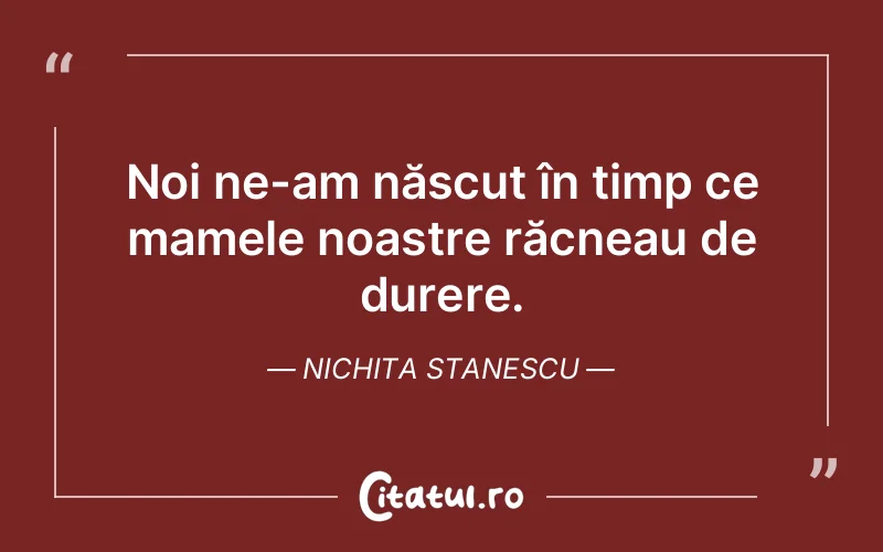 Citat Nichita Stanescu - citate triste