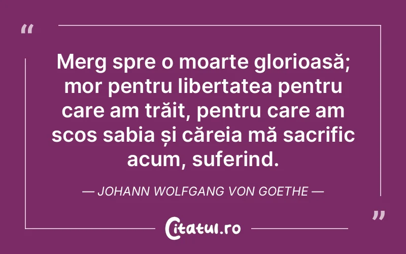 Citat Autor necunoscut - citate triste