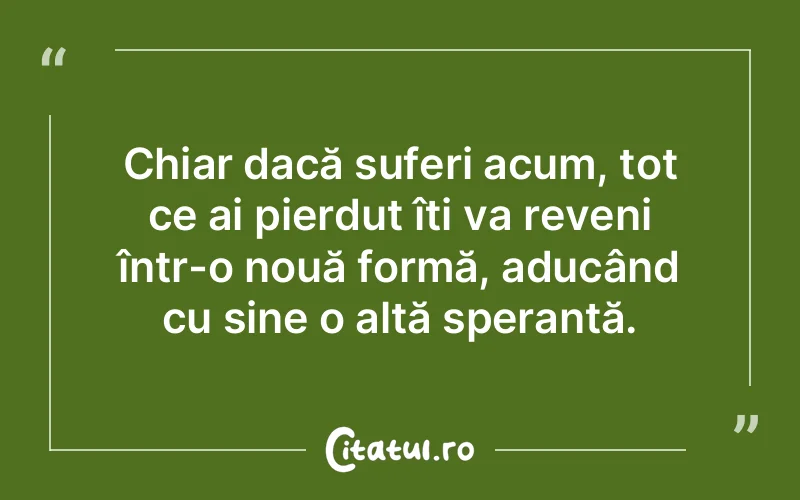 Citat Autor necunoscut - citate triste