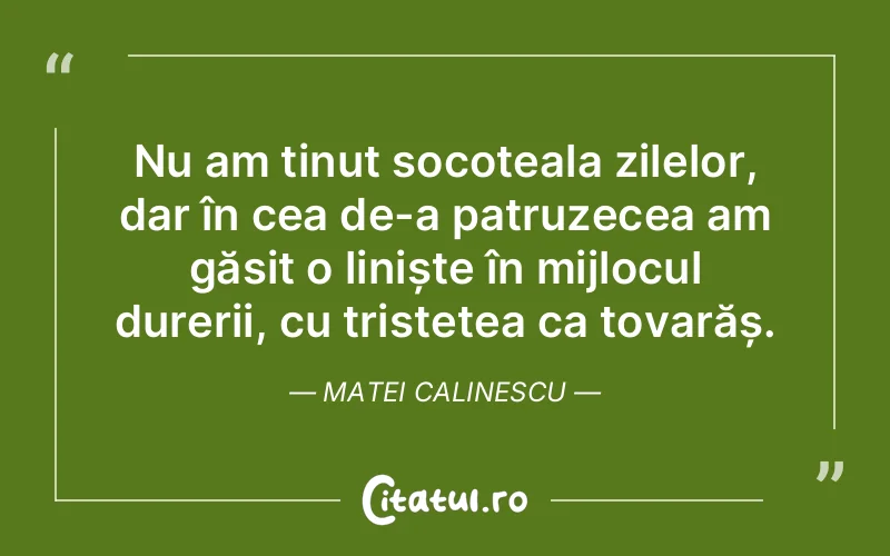 Citat Matei Calinescu - citate triste
