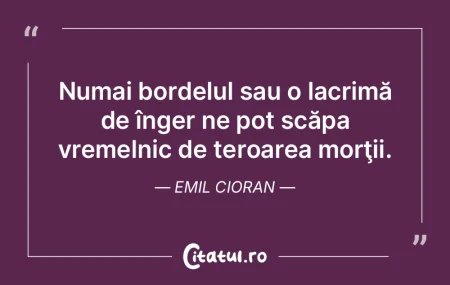Numai bordelul sau o lacrimă de înger ... Numai bordelul sau o lacrimă de înger ...