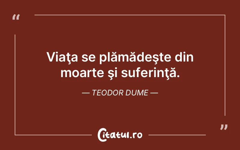 Citat Teodor Dume - citate triste