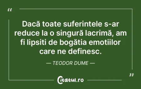 Dacă toate suferințele s-ar reduce la ... Dacă toate suferințele s-ar reduce la ...