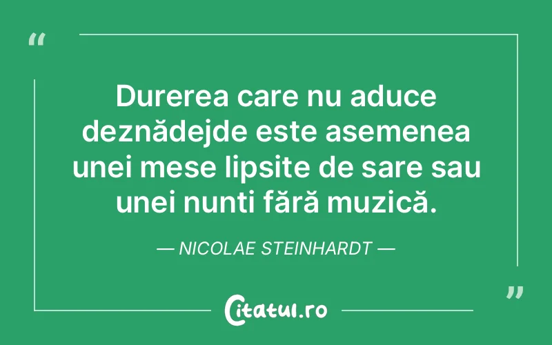 Citat Nicolae Steinhardt - citate triste