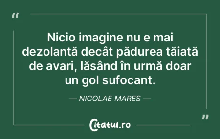 Nicio imagine nu e mai dezolantă decât...