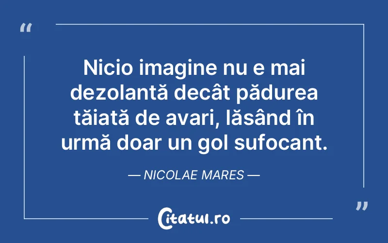 Citat Nicolae Mares - citate triste