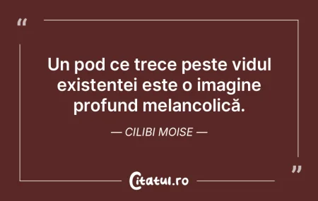 Un pod ce trece peste vidul existenței ... Un pod ce trece peste vidul existenței ...