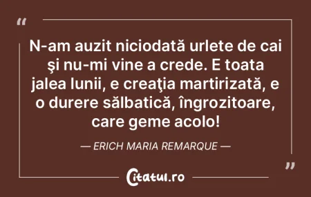 N-am auzit niciodată urlete de cai şi ... N-am auzit niciodată urlete de cai şi ...