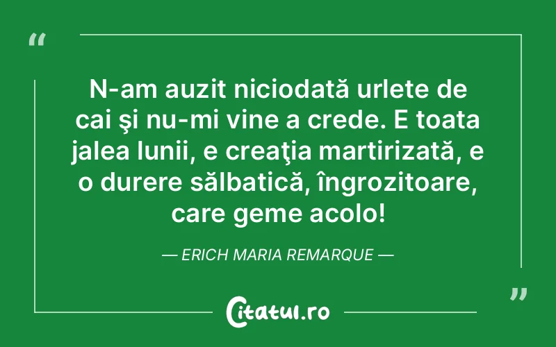 N-am auzit niciodată urlete de cai şi nu-mi vine a crede. E toata jalea lunii, e creaţia martirizată, e o durere sălbatică, îngrozitoare, care geme acolo! Erich Maria Remarque