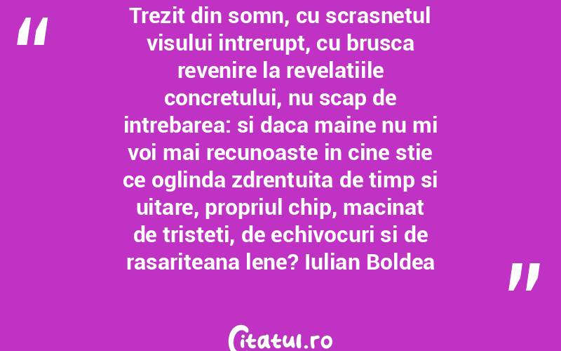 Trezit din somn, cu scrasnetul visului intrerupt, cu brusca revenire la revelatiile concretului, nu scap de intrebarea: si daca maine nu mi voi mai recunoaste in cine stie ce oglinda zdrentuita de timp si uitare, propriul chip, macinat de tristeti, de echivocuri si de rasariteana lene? Iulian Boldea