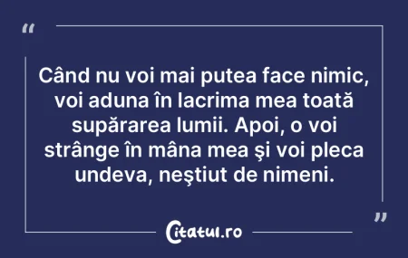 Când nu voi mai putea face nimic, voi a...