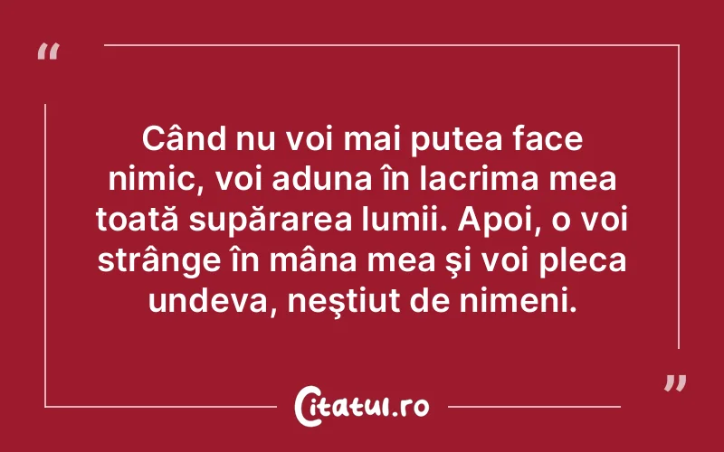 Citat Autor necunoscut - citate triste