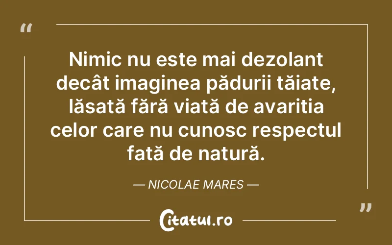 Citat Nicolae Mares - citate triste