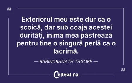 Exteriorul meu este dur ca o scoică, da... Exteriorul meu este dur ca o scoică, da...
