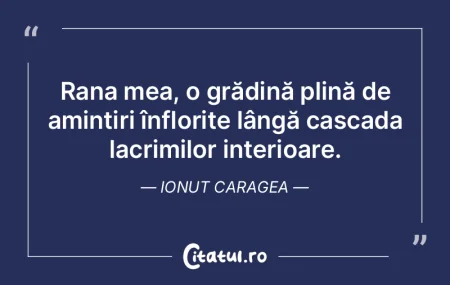 Rana mea, o grădină plină de amintiri... Rana mea, o grădină plină de amintiri...