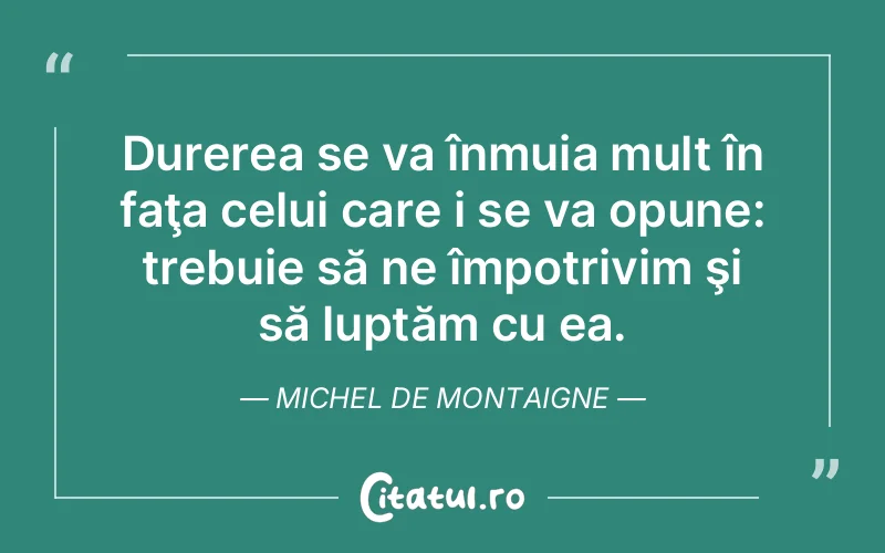 Citat Autor necunoscut - citate triste